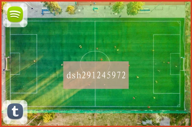 dsh291245972